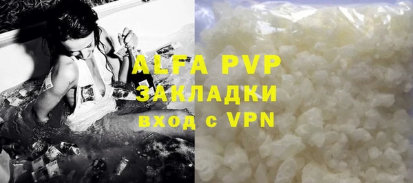 трава Белокуриха
