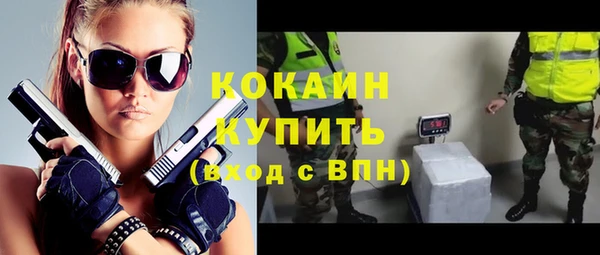 трава Белокуриха