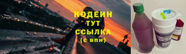 трава Белокуриха