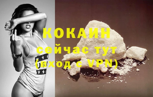 трава Белокуриха