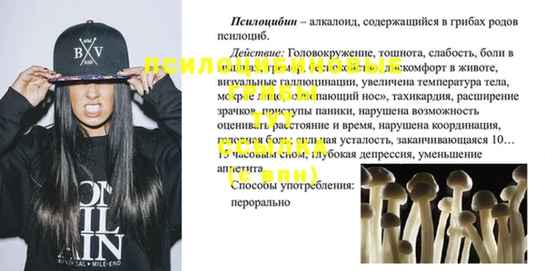 трава Белокуриха