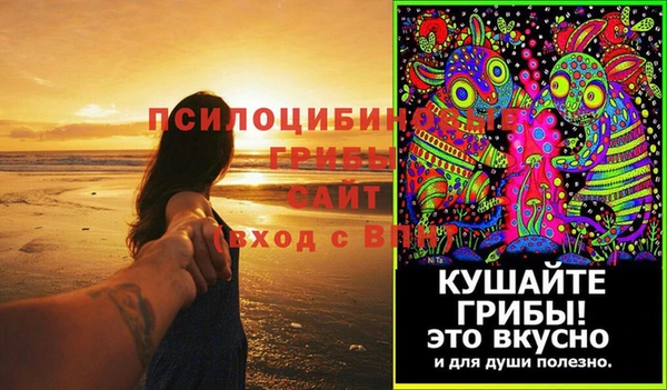 трава Белокуриха