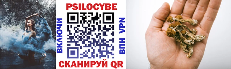 MEGA ссылки Отрадная Псилоцибиновые грибы Psilocybe где купить наркоту